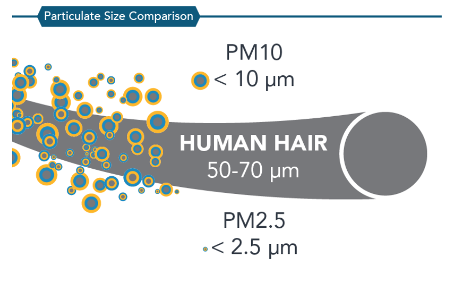 What is PM2.5?