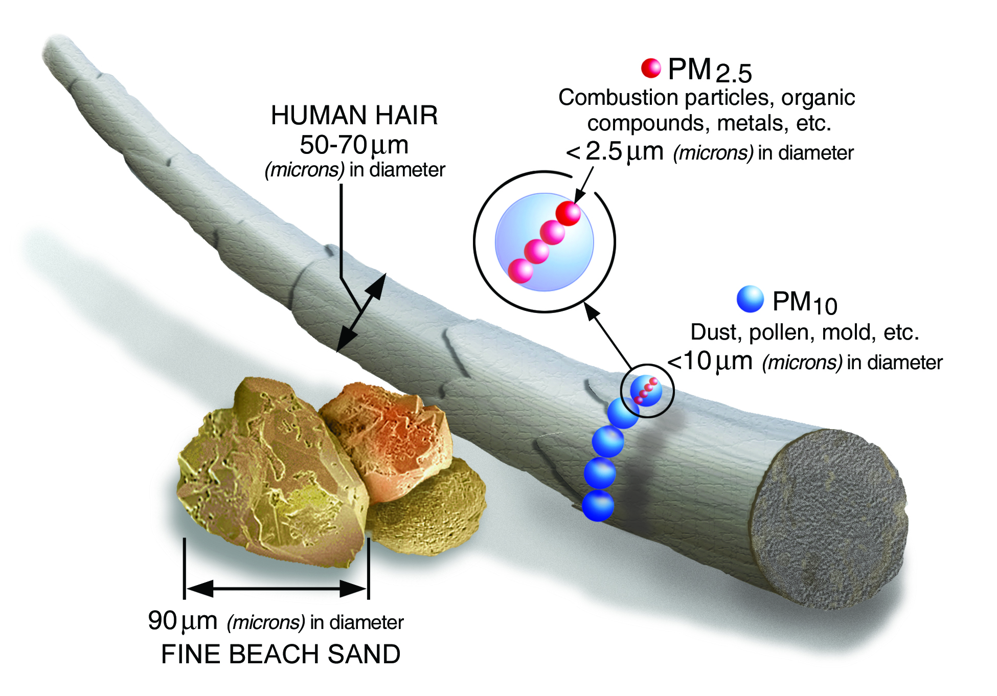 PM2.5 scale