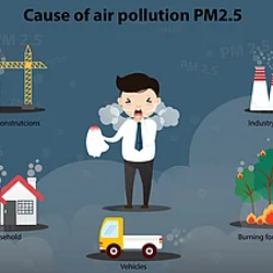 cause of air pollution PM2.5