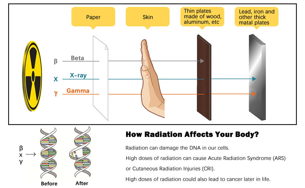 Geiger Counter Nuclear Radiation Detector Dosimeter, Portable Handheld Beta Gamma X-ray Radiation Monitor 